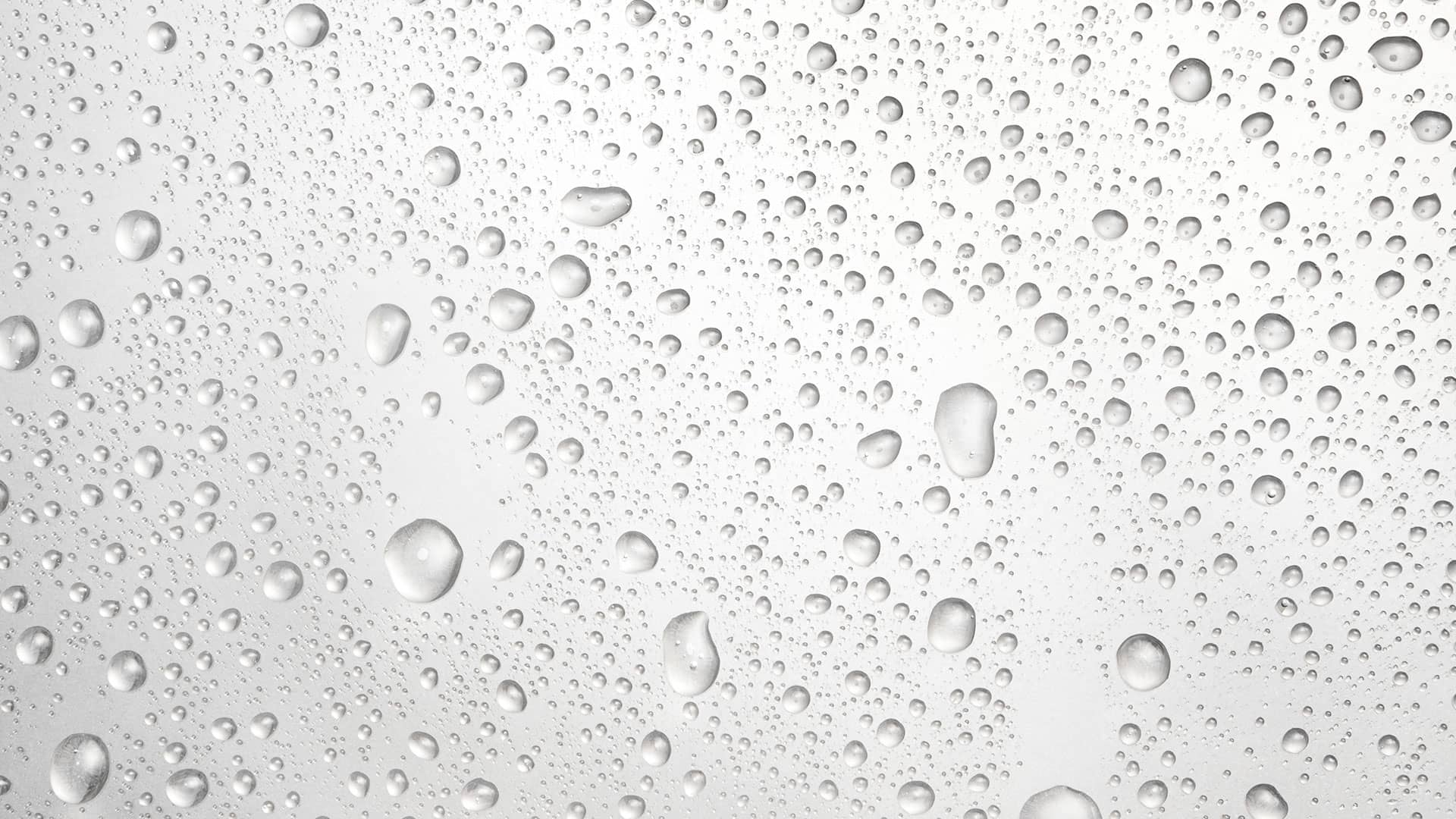 Second Banner Image